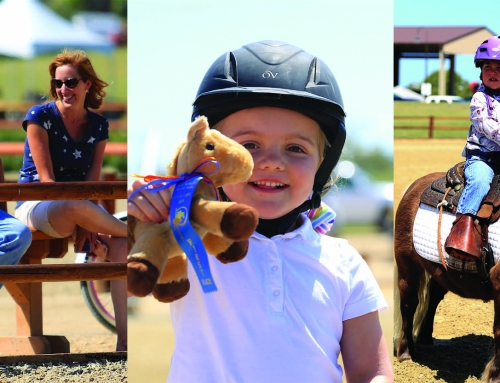 Back to School Bash Horse Camp for Adults & Kids